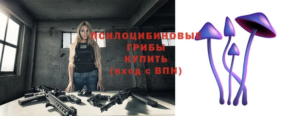 герыч Алексин
