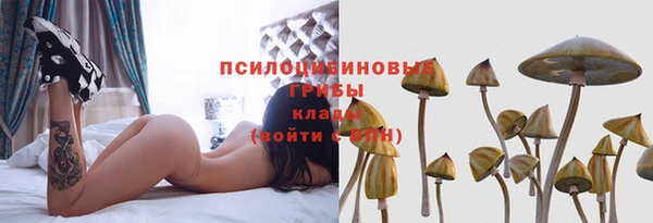 первитин Алексеевка