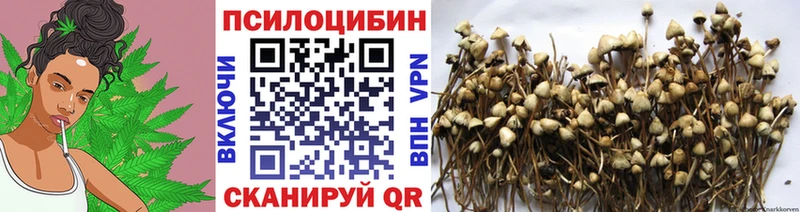 Псилоцибиновые грибы GOLDEN TEACHER Перевоз